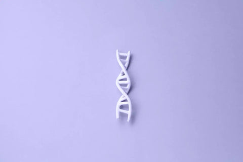 Gene sind Anweisungen für Ihren Körper.